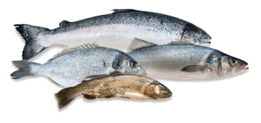 pescados