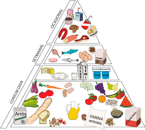 Resultat d'imatges de PIRÀMIDE D'ALIMENTS