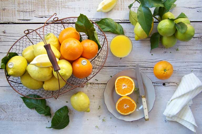 Ahorro 100% - naranjas y limones